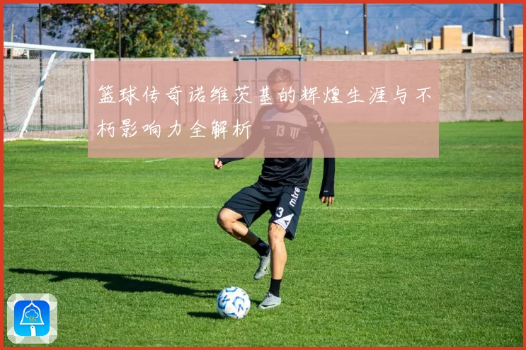 篮球传奇诺维茨基的辉煌生涯与不朽影响力全解析