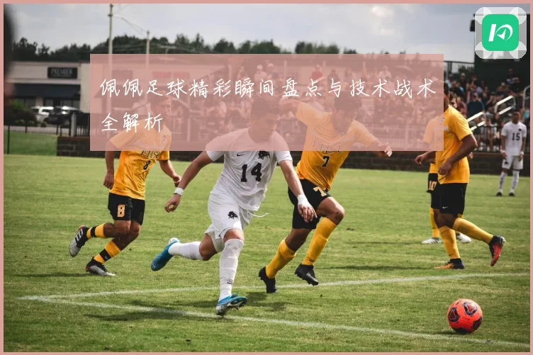 佩佩足球精彩瞬间盘点与技术战术全解析