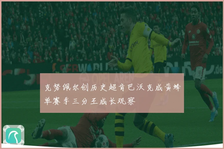 克努佩尔创历史超肯巴沃克成黄蜂单赛季三分王成长观察