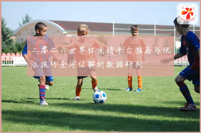 二零二六世界杯竞猜平台推荐与玩法技巧全方位解析数据研判