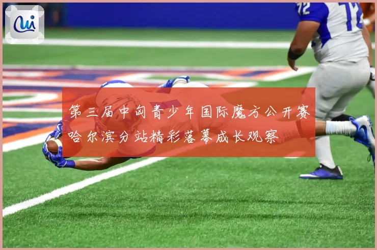 第三届中匈青少年国际魔方公开赛哈尔滨分站精彩落幕成长观察