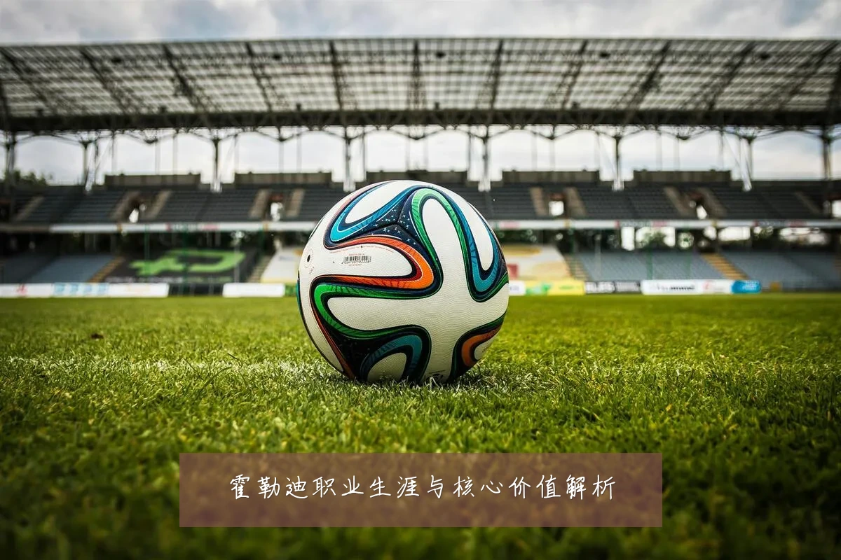 霍勒迪职业生涯与核心价值解析